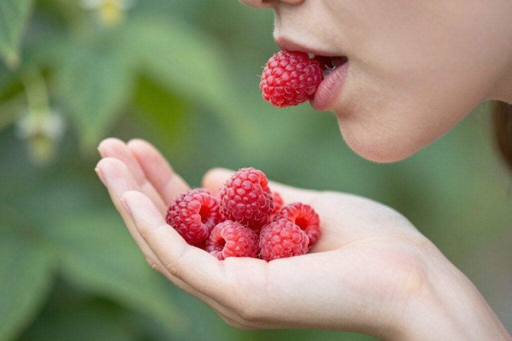 Osoba jedząca maliny we śnie - sennik maliny interpretacja